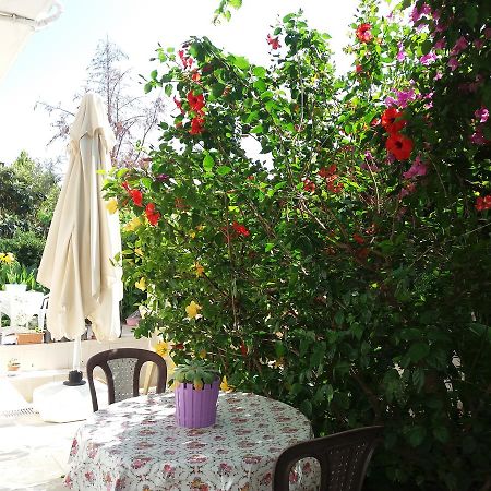 Cizmeci Apart Hotel公寓式酒店 Çeşme 外观 照片